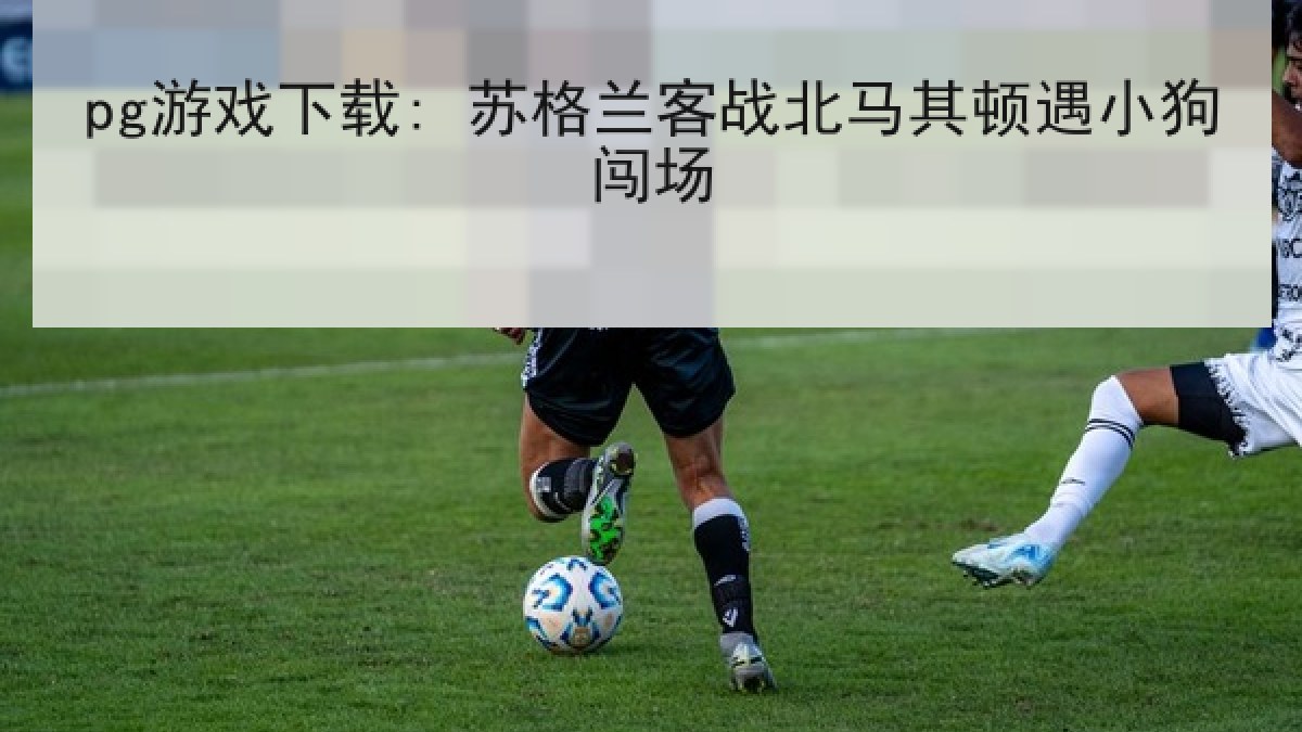pg游戏下载: 苏格兰客战北马其顿遇小狗闯场