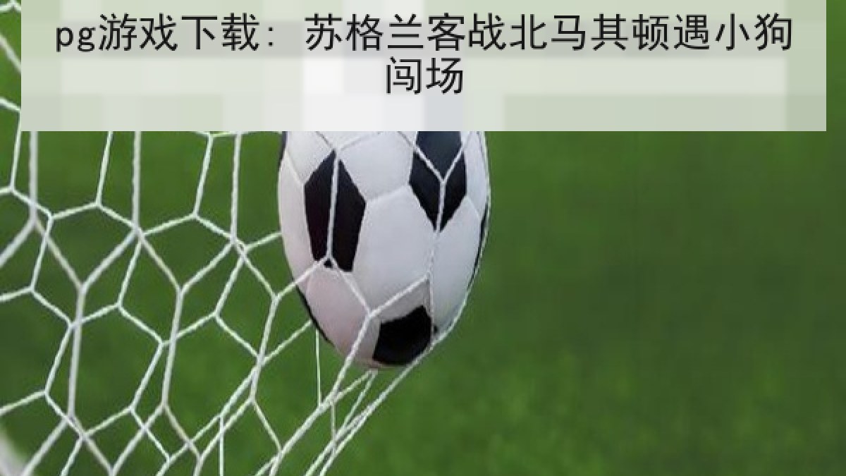 pg游戏下载: 苏格兰客战北马其顿遇小狗闯场
